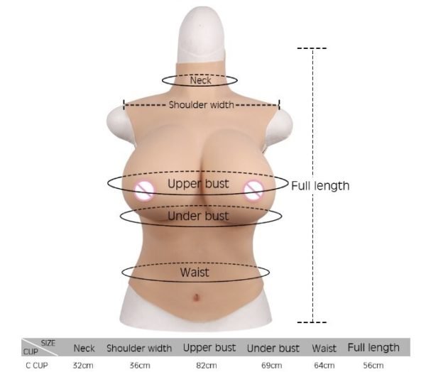 Half Body Silicone Breast Plate Dimension - C Cup